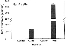 HCV infectivity in Huh7 cells.