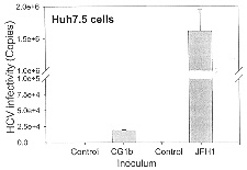 HCV infectivity in Huh7.5 cells.