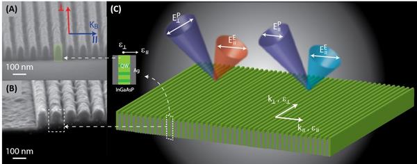 Figure from Nature Communications Paper