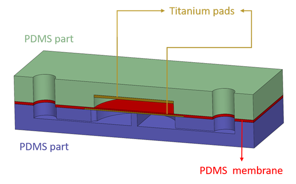 microvalve