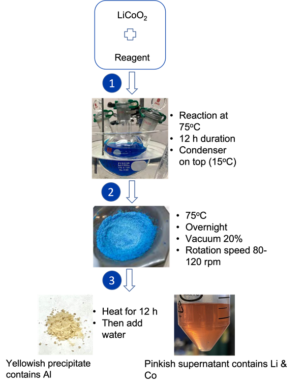 Schematic representation