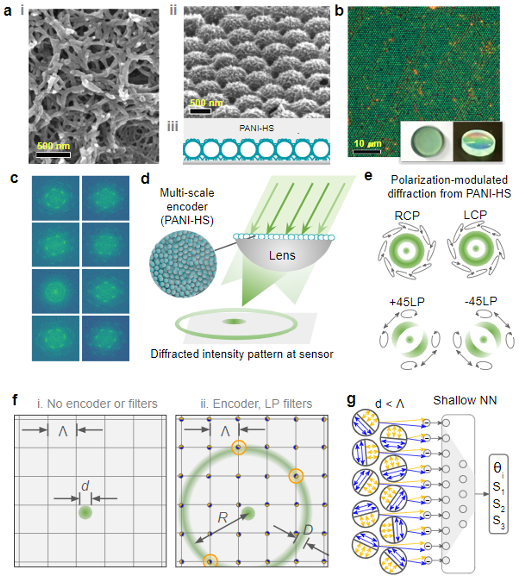 Multi-scale meso-ordered material