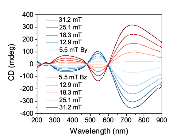 CD spectra of the magnetic/plasmonic hybrid nanorods