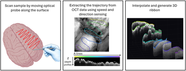 3 figures: fig 1 scan sample by moving optical probe along surface. Fig 2 Extracting the trajectory from OCT data using speed and direction sensing. Fig 3 Interpolate and generate 3D ribbon