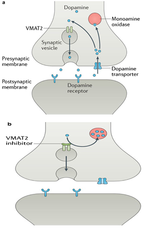 mechanism speech for stuttering