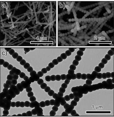 SEM and TEM images of typical photonic nanochains.