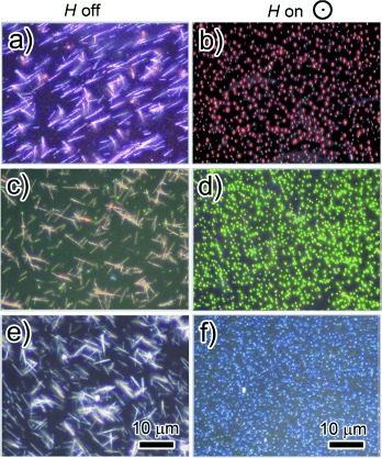 Dark-field optical microscopy images of magnetic photonic chains