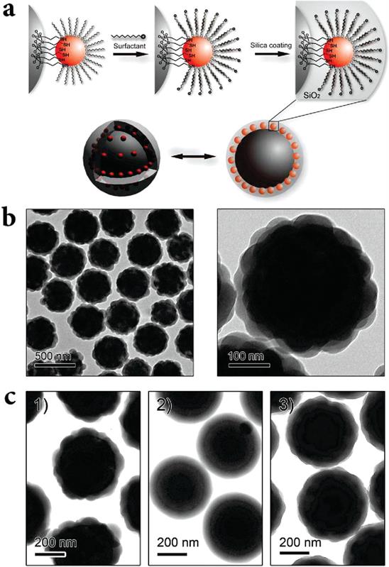 Schematic illustration