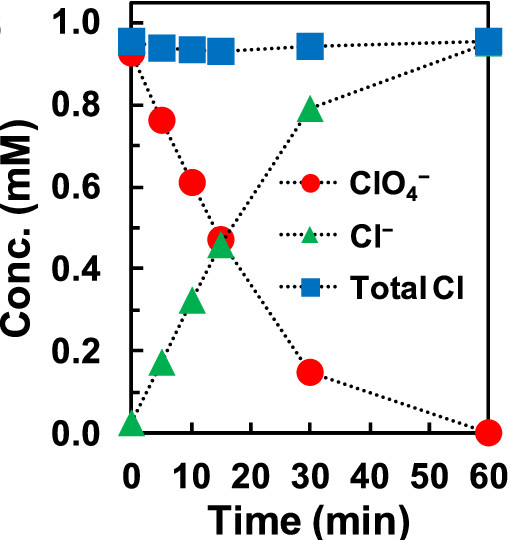 Chlorine balance for ClO4- reduction