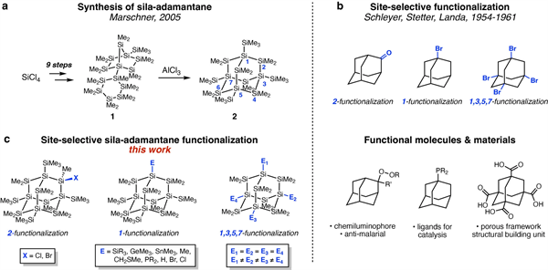 Synthetic strategies for functionalizing sila-adamantane at five discrete locations within the cluster core, paving the way for functional silicon diamondoid materials.