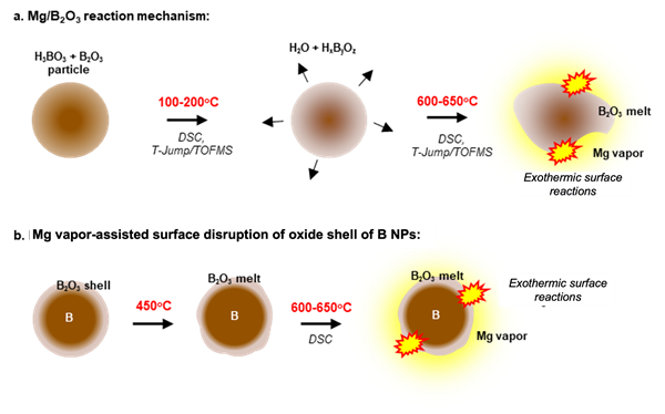 Schematic illustration