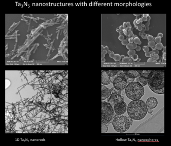 Morphologies