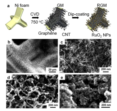 Schematic illustration of the preparation process and SEM images