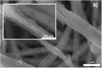 SEM image of fiber post cycling