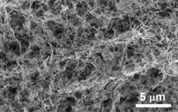 RuO2 in Nickel Nanodendrte foami