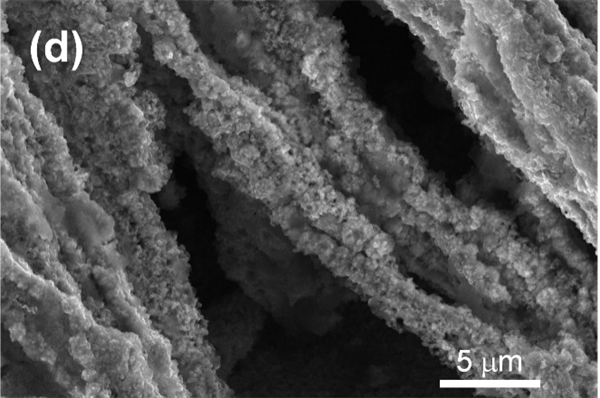 SEM image of Nickel Nanowire foam after 1,000 cycles