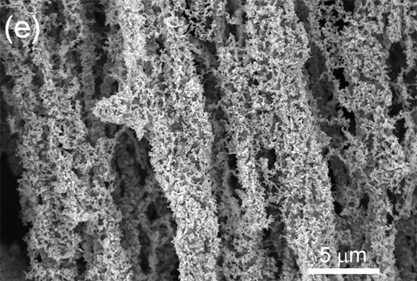 SEM image of Nickel Nanowire foam