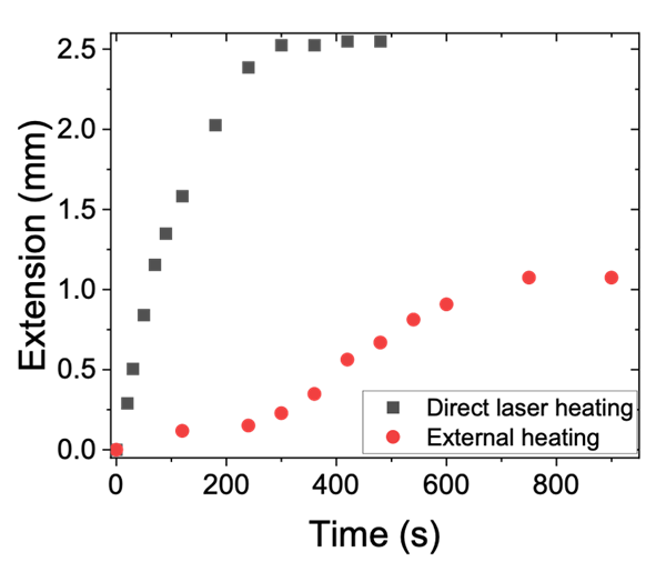 Comparison of temporal response and maximum extension