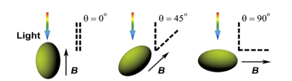 Schematic representation 