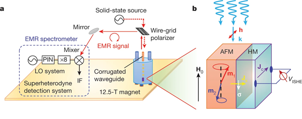 Schematic illustration